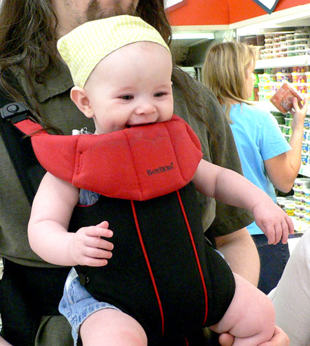 Maddox in the carrier thingy