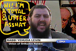 Rabbi Yehuda Levin