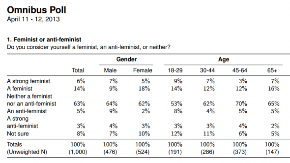 feminist-or-anti-poll