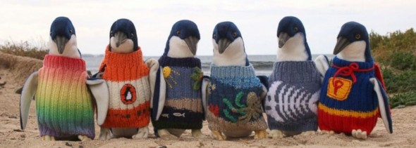 penguins-in-sweaters