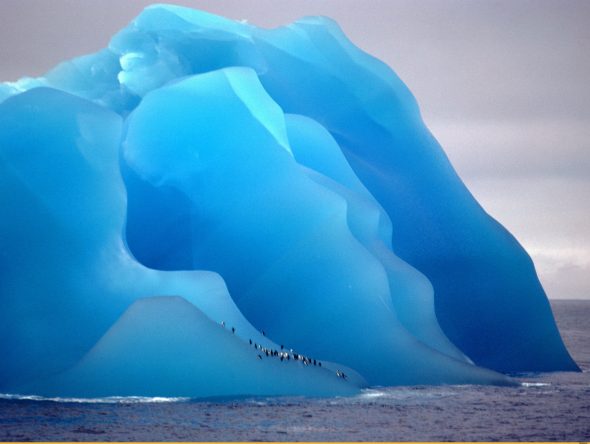 penguins-on-blue-ice